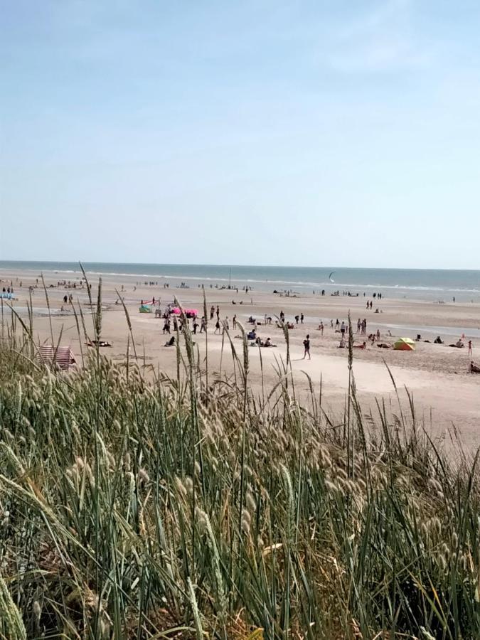 Le Grenier De Mamou Hotel Hesdigneul-les-Boulogne Eksteriør billede